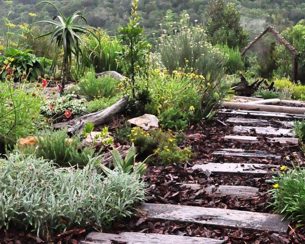 Woodlands Self Catering Hotel Knysna Exterior photo