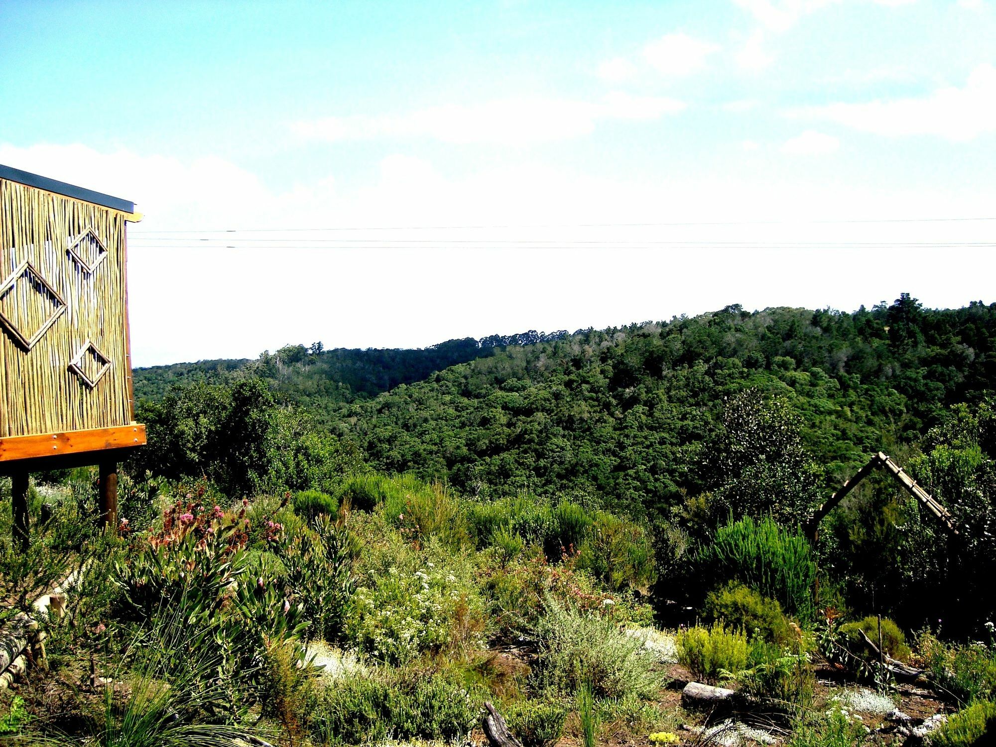 Woodlands Self Catering Hotel Knysna Exterior photo